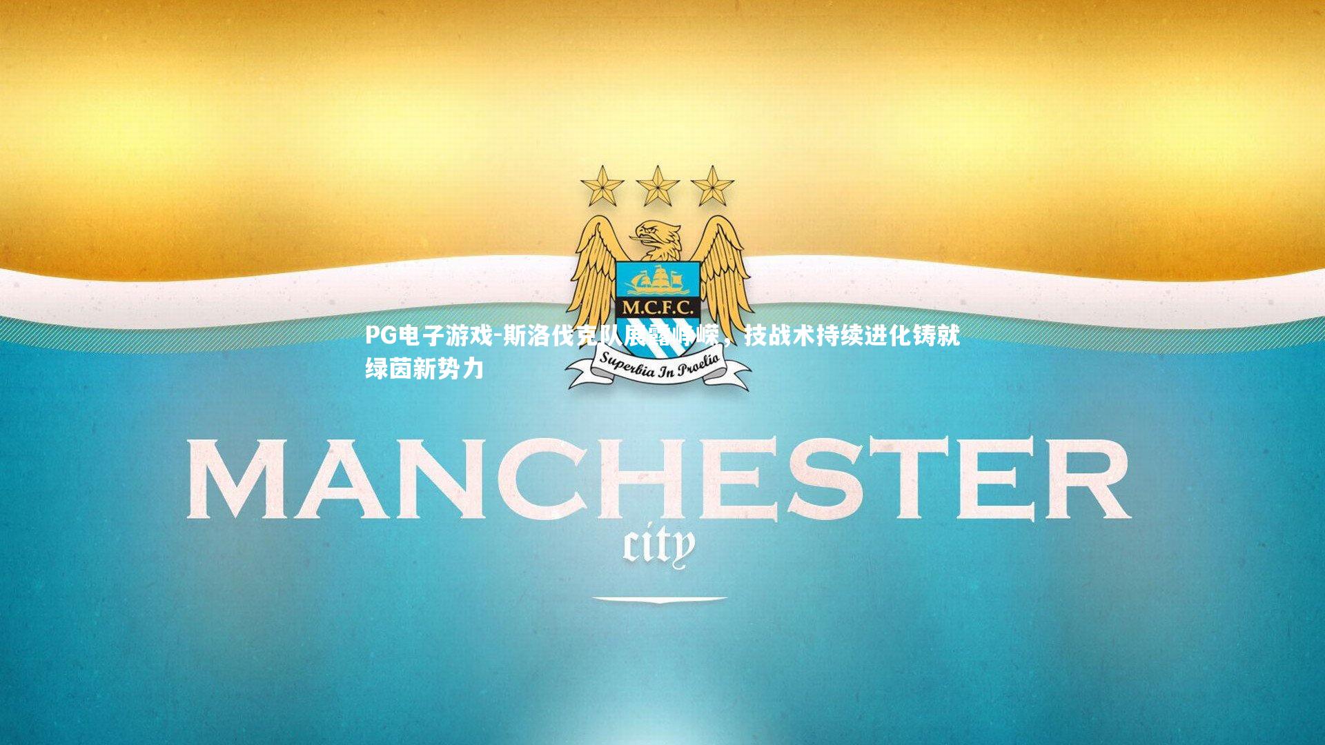 斯洛伐克队展露峥嵘，技战术持续进化铸就绿茵新势力